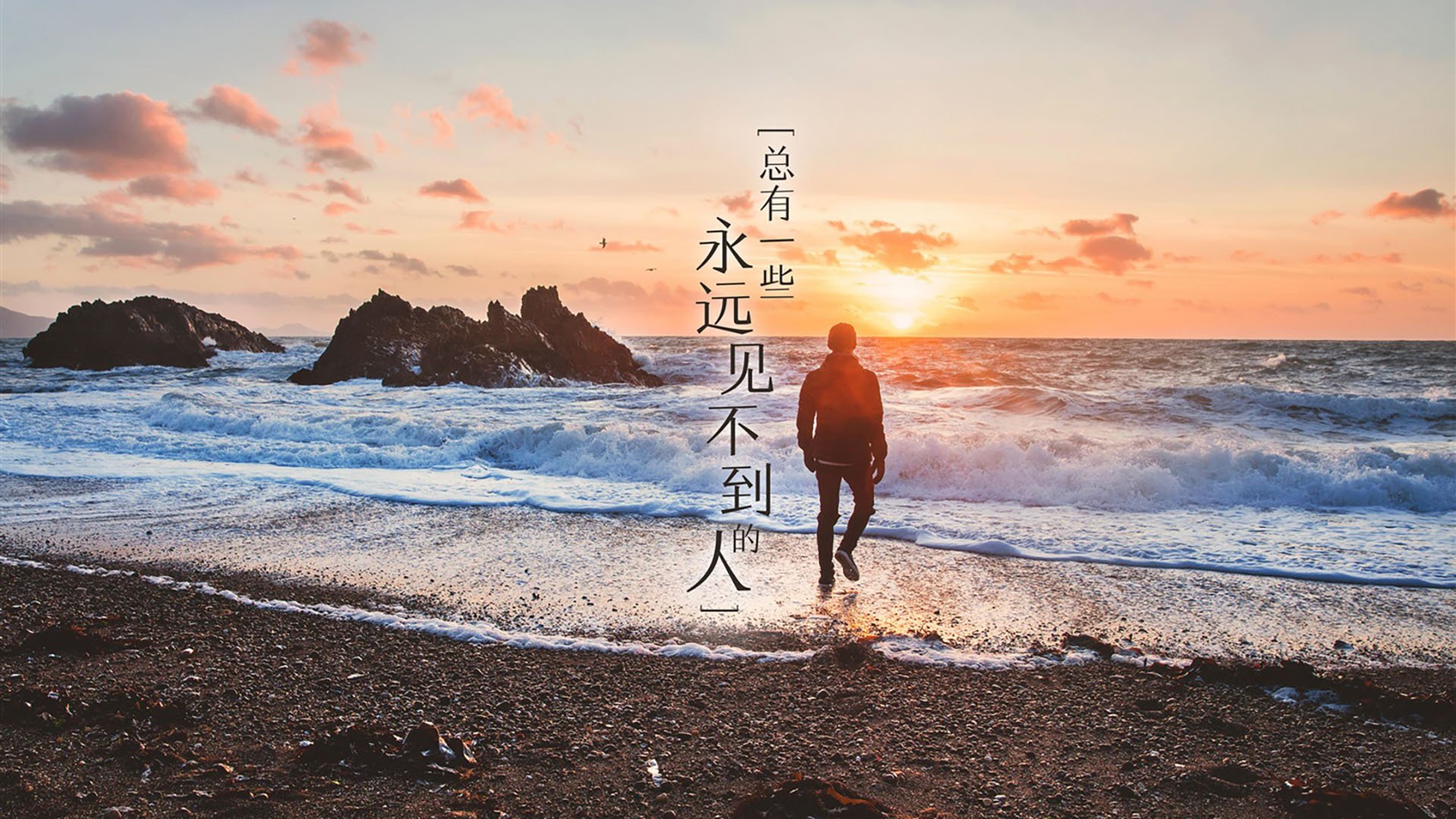 沃尔夫斯堡在主场与法兰克福争夺胜利，沃尔夫斯堡vs法兰克福比分预测