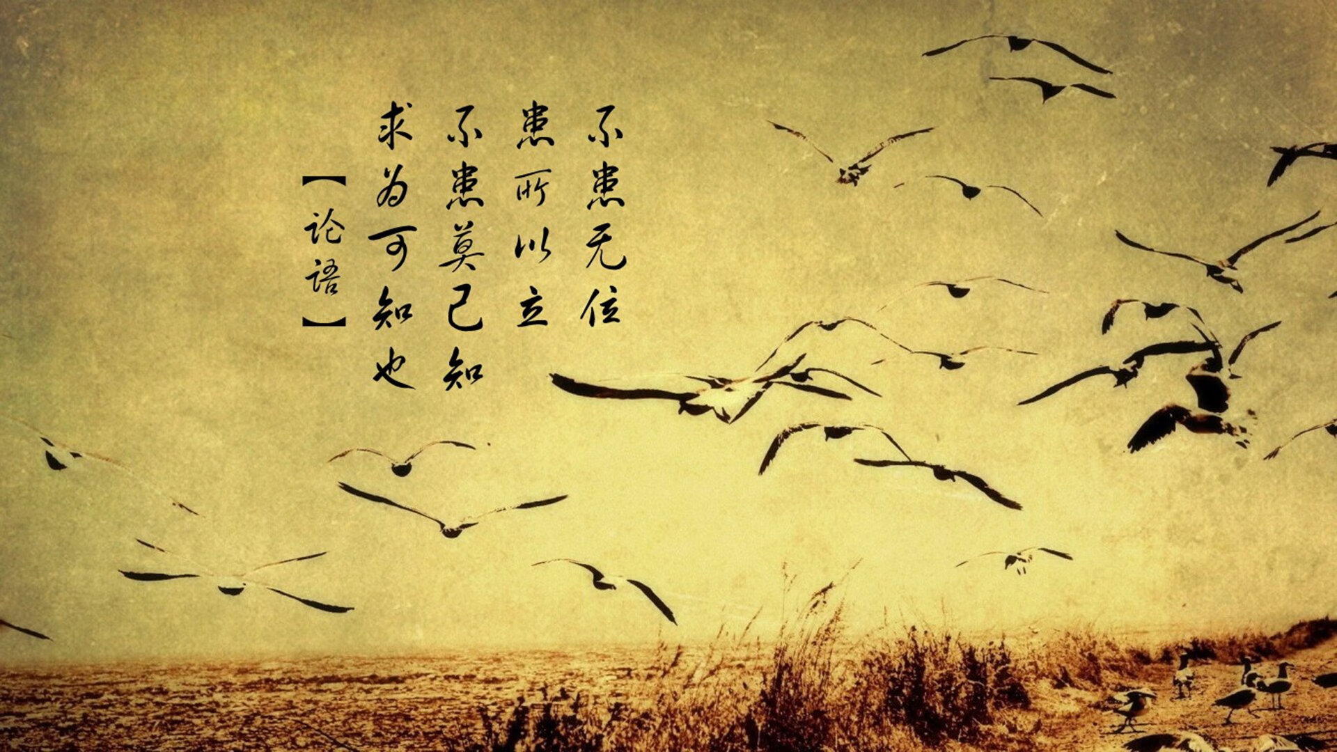 湖人压哨胜鹈鹕，詹姆斯突破4000次助攻里程碑，詹姆斯准三双湖人大胜鹈鹕