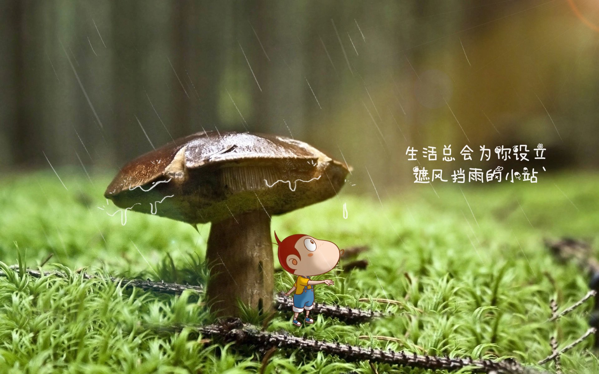 kaiyun体育app-石油人主场观众热情高涨，石油人主场观众热情高涨的原因