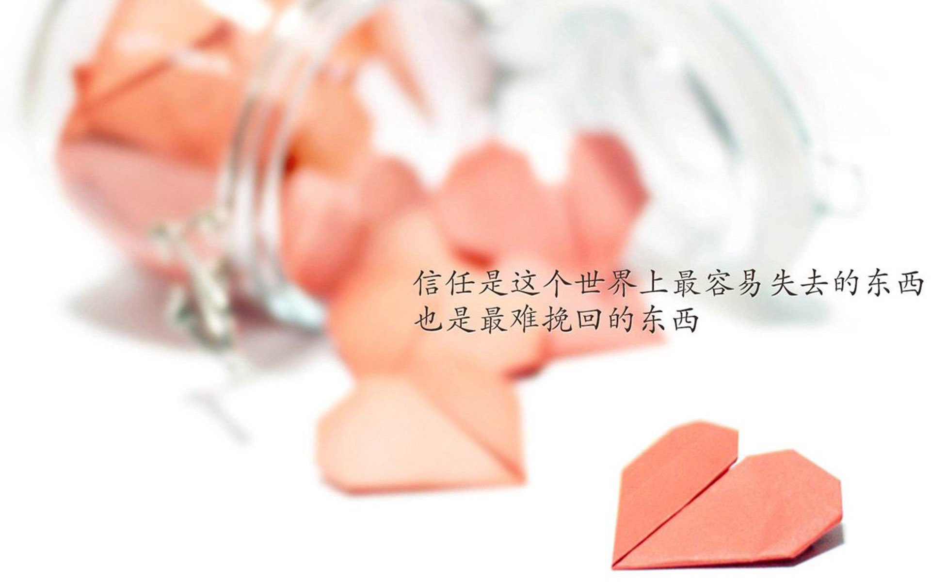 足协杯赛程揭晓，对阵情况一览无余，足协杯详细赛程出炉