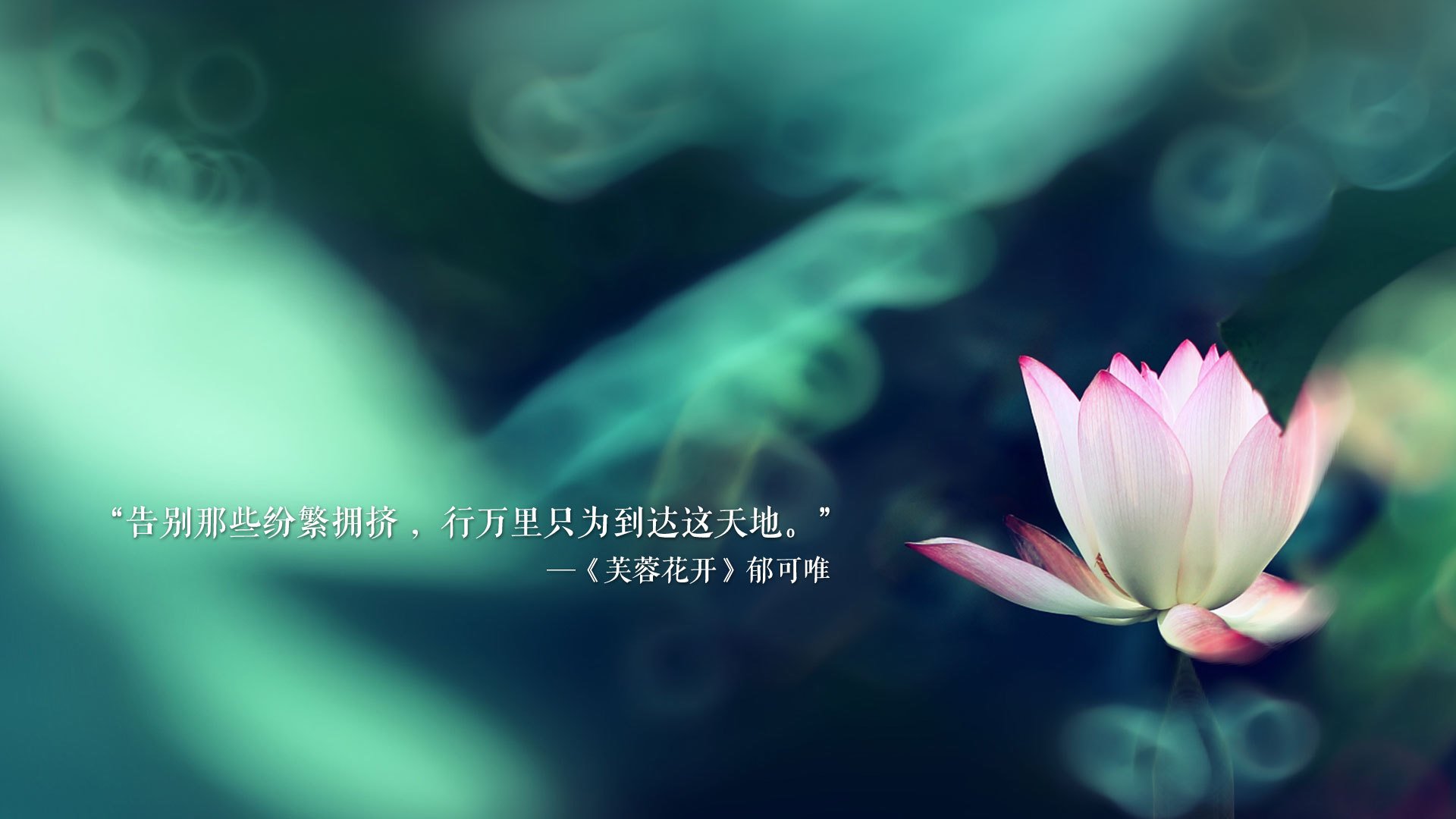 体育赛事志愿服务质量管理研究，体育赛事志愿者工作安排方案