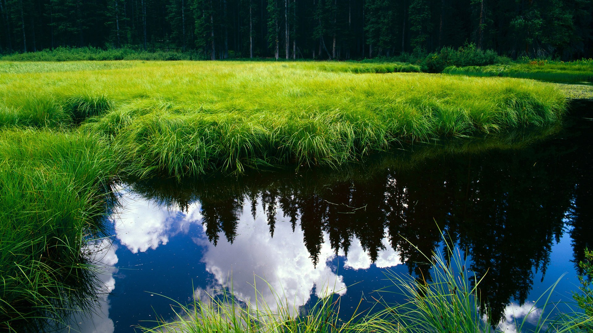 高位压迫对对手传控形成战术打击威慑,破解高位压迫