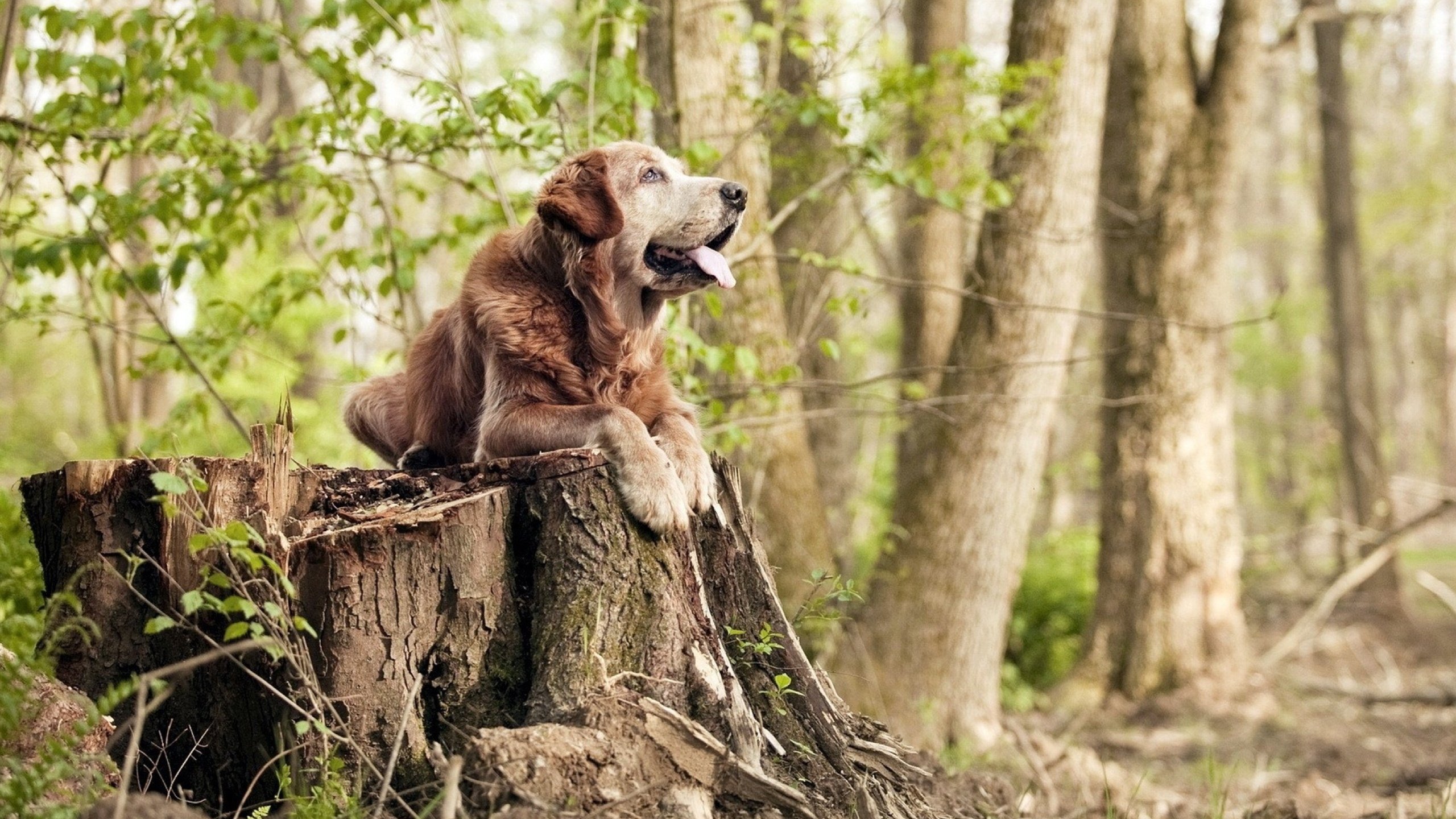 kaiyun官方入口登录-青训考核体系加入家庭支持度参考项，青训政策