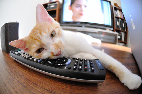 Kaiyun官方登录入口-76人召开球员会议共同制定团队目标与承诺，76人队介绍