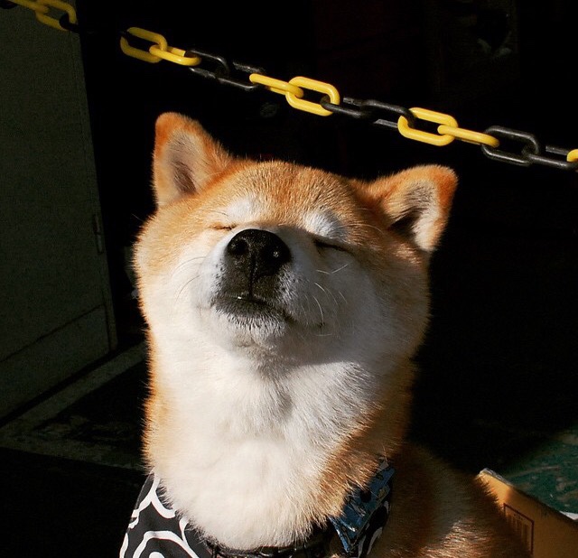 76人召开球员会议共同制定团队目标与承诺,76人队介绍