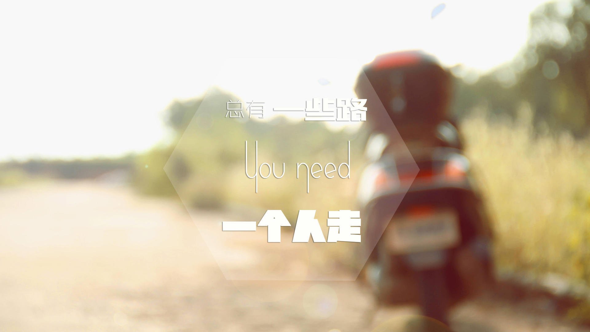 世界杯赛事的绿色交通方案,世界杯绿牌