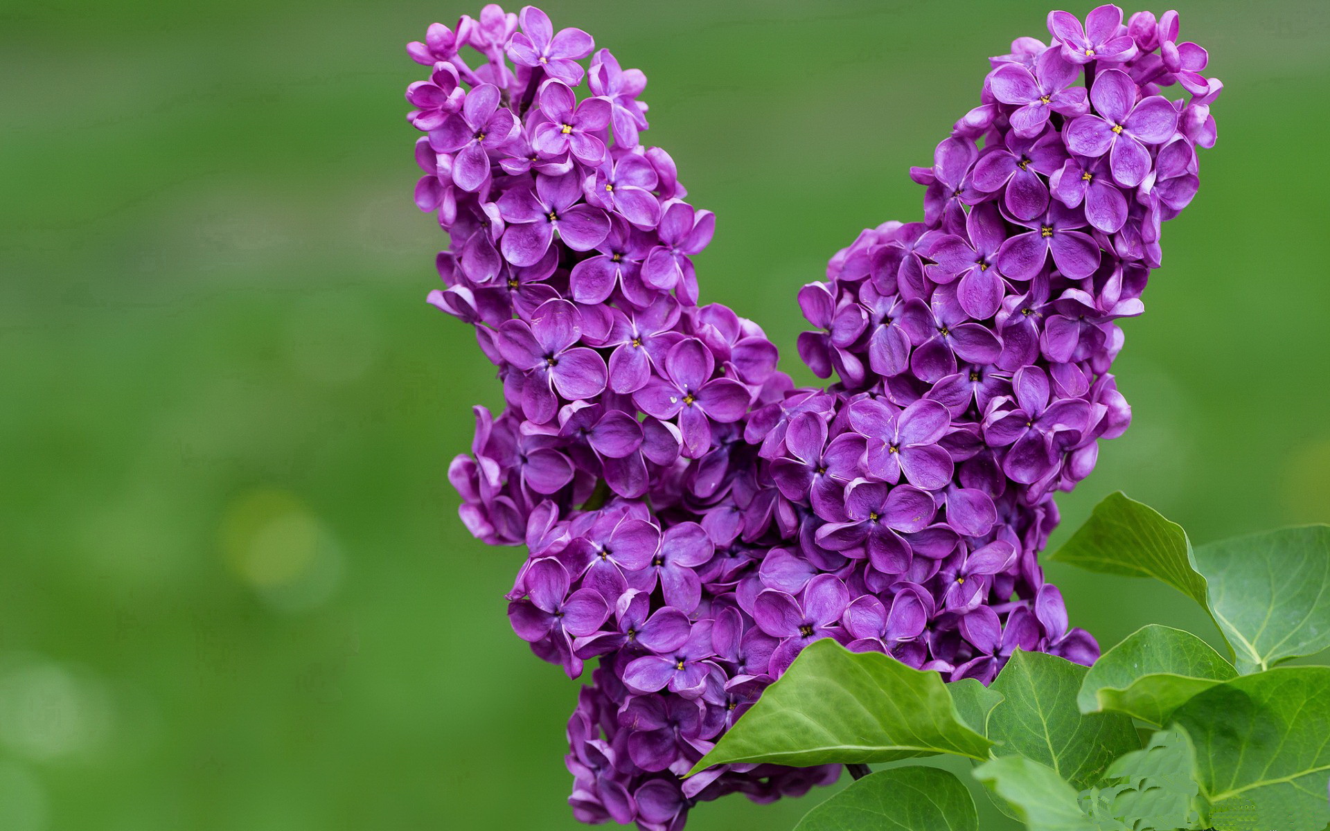 后程冲刺爆发力显著增强，后程发力成语