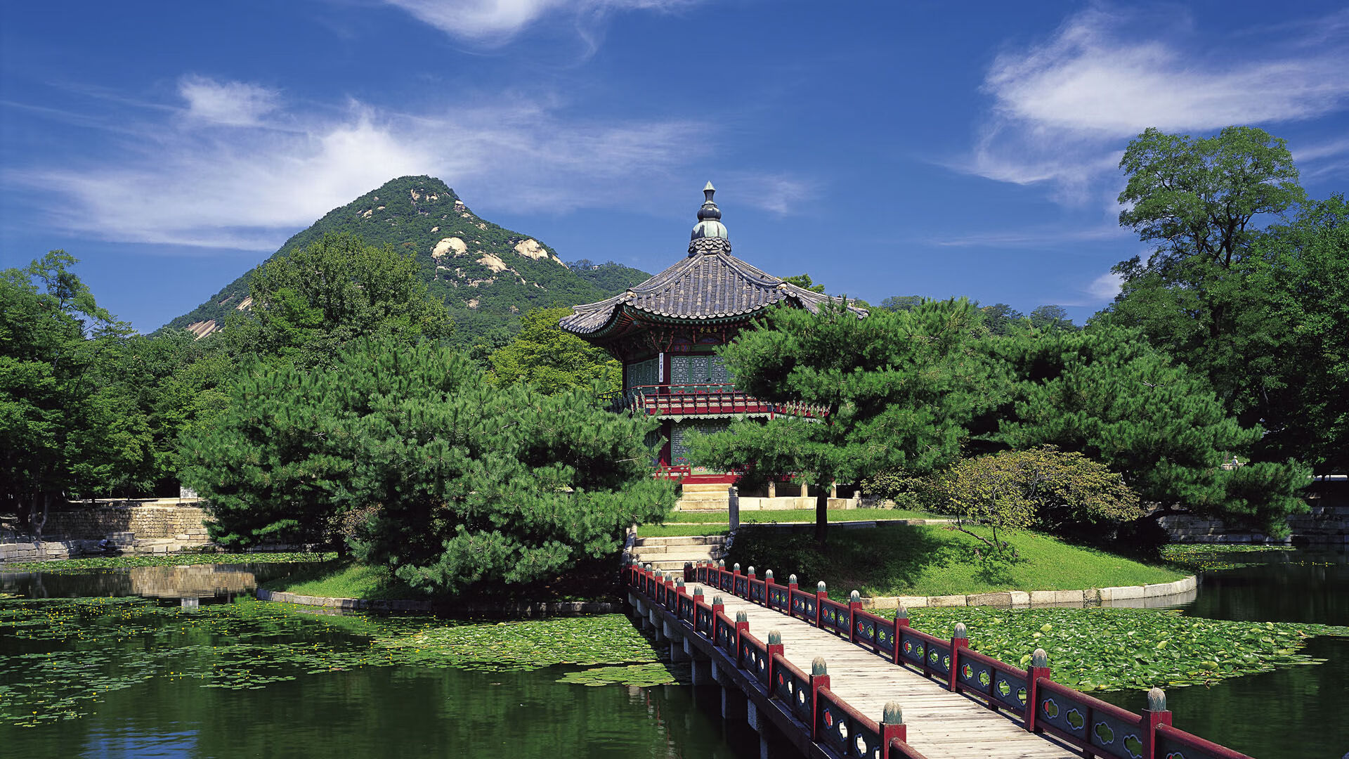 KAIYUN 中国大陆-卡特的精准点球与任意球技术，帮助全黑队多次取胜，卡特技巧