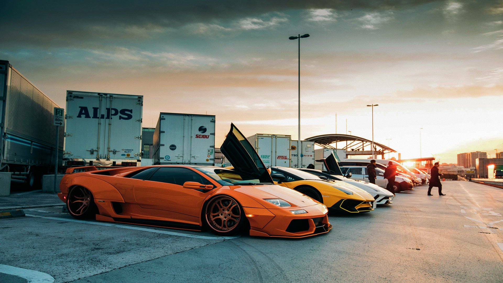 希腊女队自由泳爆发力惊艳全场,希腊女子花样游泳队