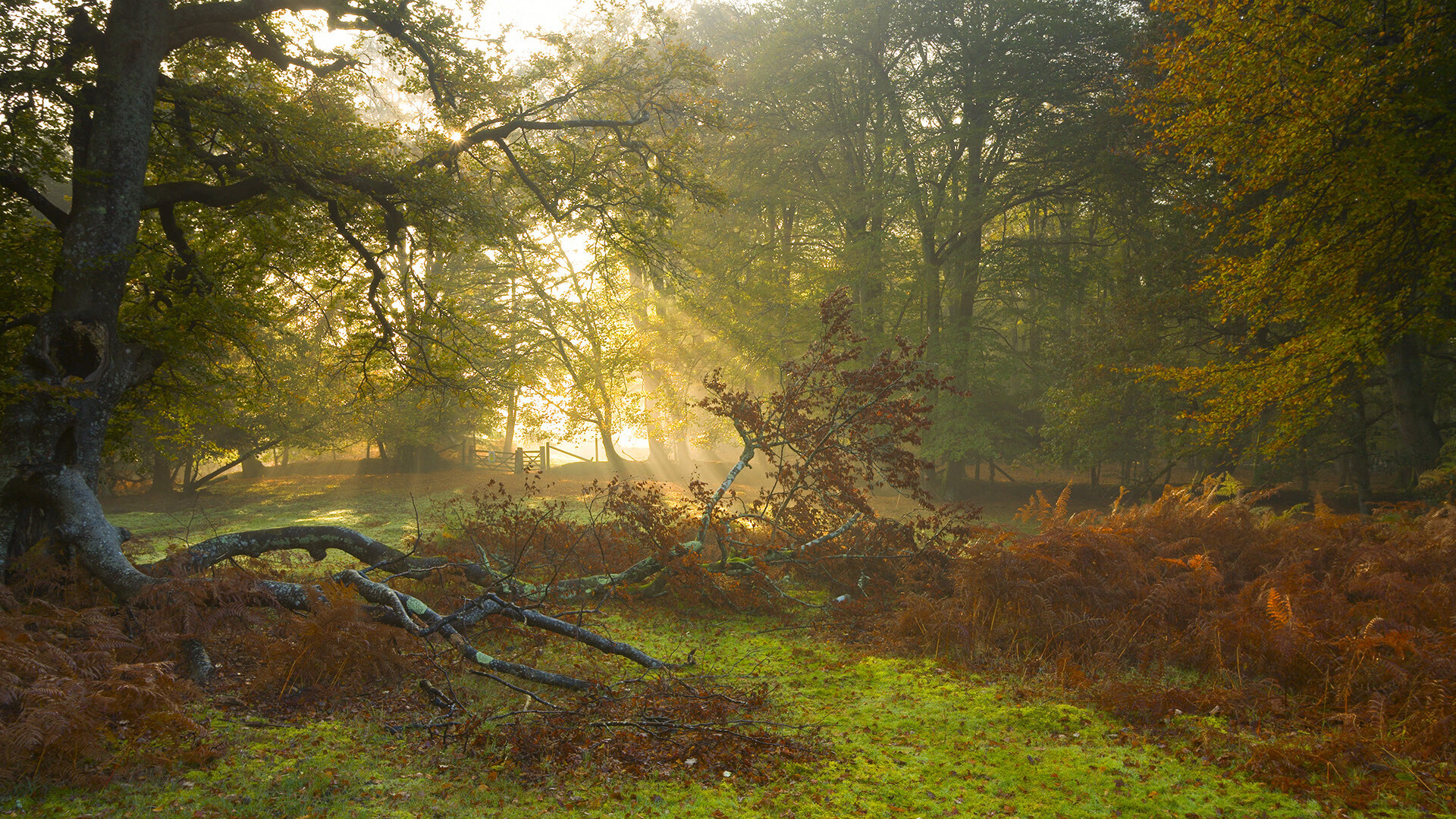 德国希望之星梅尔滕斯挑战长距离极限