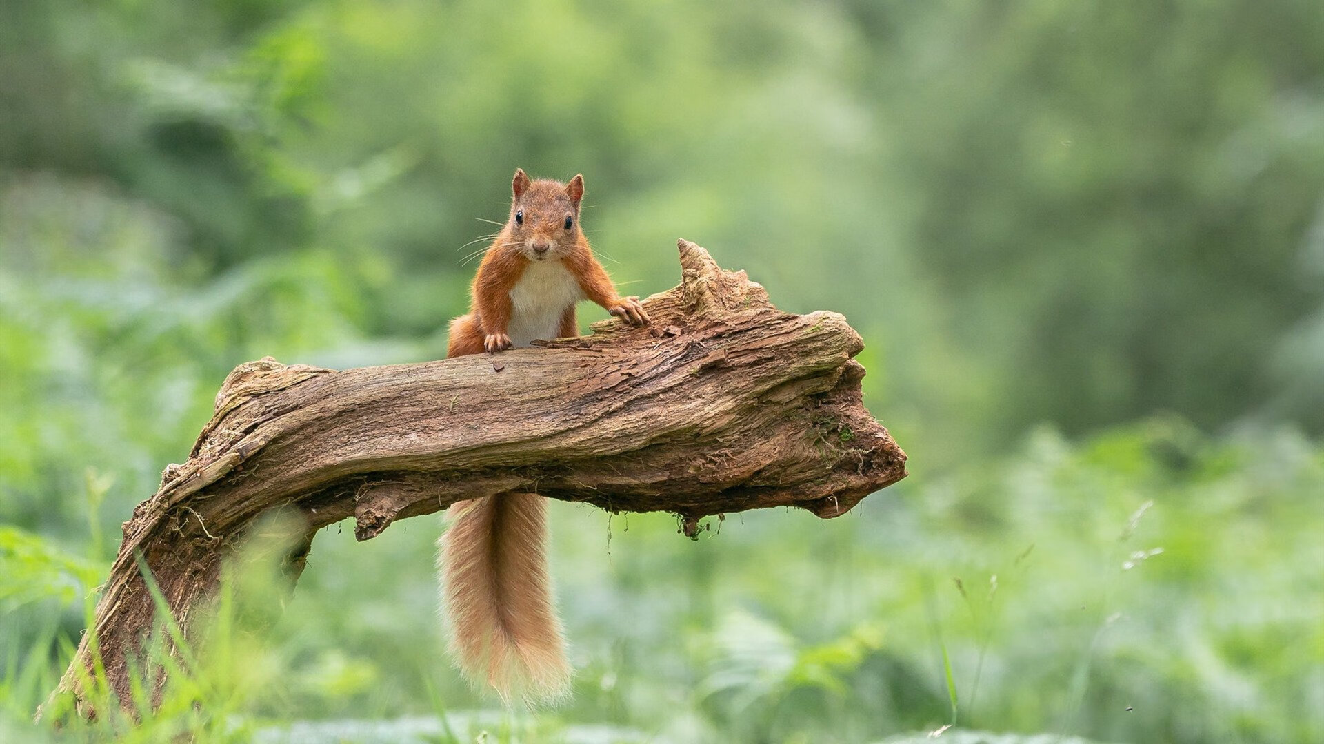 开云体育APP下载-拜仁慕尼黑新援融入球队，助力德甲争冠