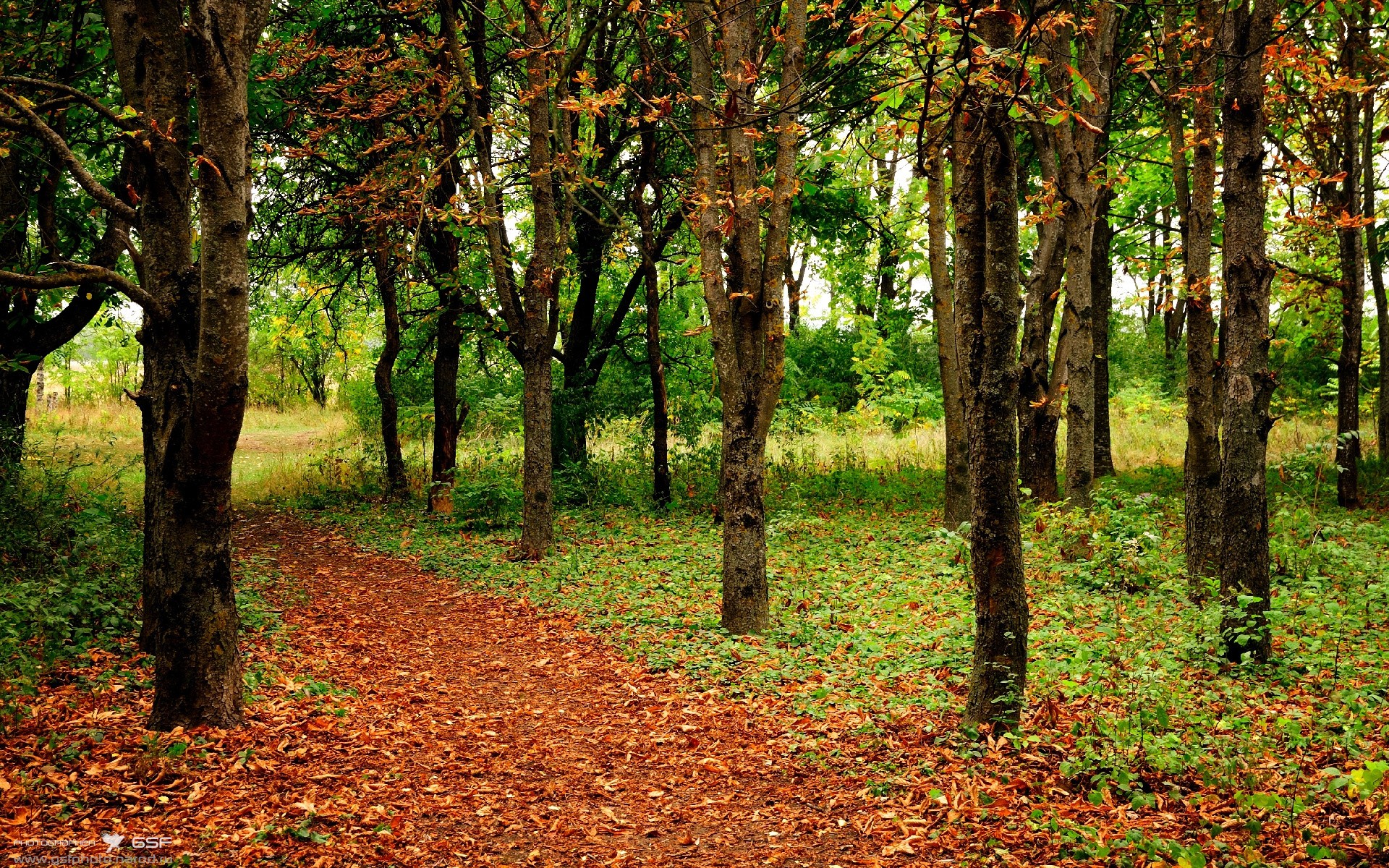 新闻中心公告国际级教练员进修班开班信息，国际教练技术