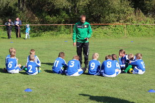 开云网页版登录入口-欧洲杯总冠军之争：战术智慧与个人能力的较量，欧洲杯冠军百度百科