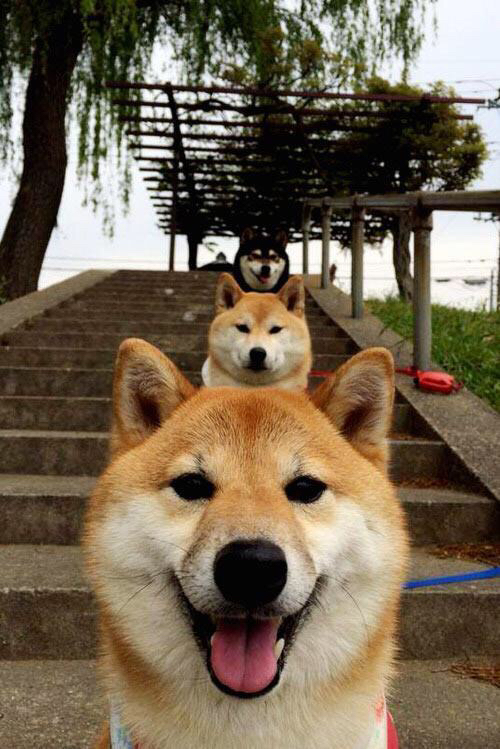 开云·Kaiyun网页版-阿森纳青训实力持续提升，未来之星纷纷成长