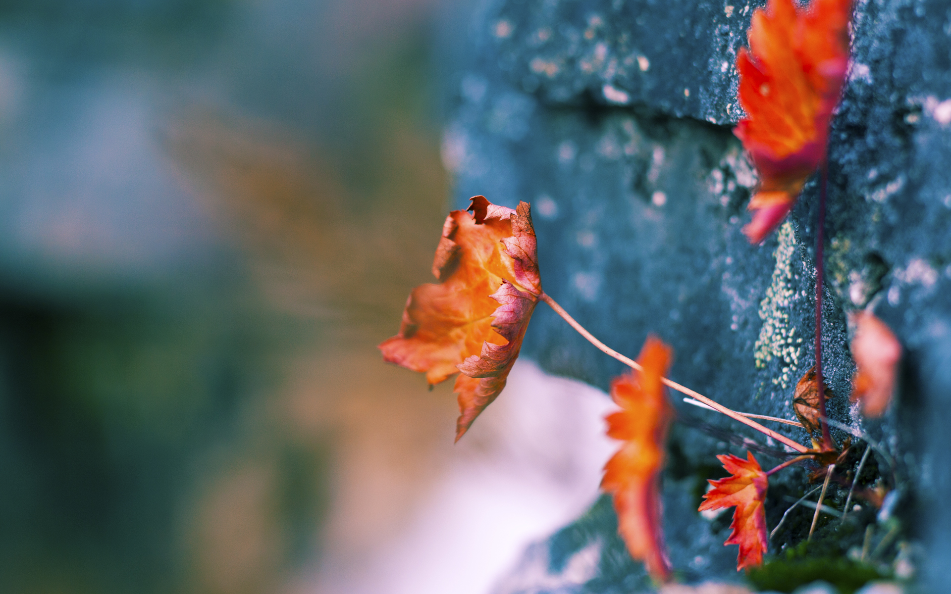 青年球员海外试训签约,多国联手培养人才,中国青年球员